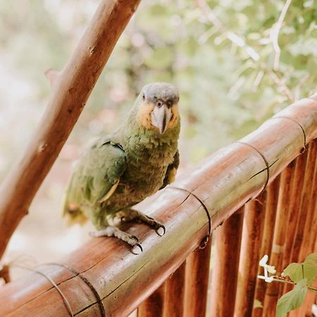 Fazenda Hotel Bem Ecologico Planaltina  Zewnętrze zdjęcie